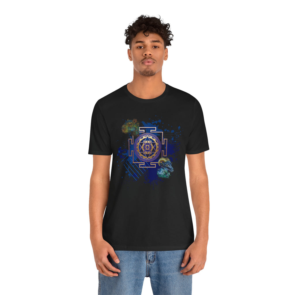Sacred Geometry Graphic Tee Unisex Bella+Canvas 3001 Shirt Celestial Art T-Shirt: Sri Yantra
