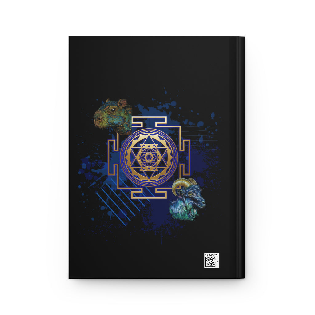 Alchemy Journal: Sri Yantra