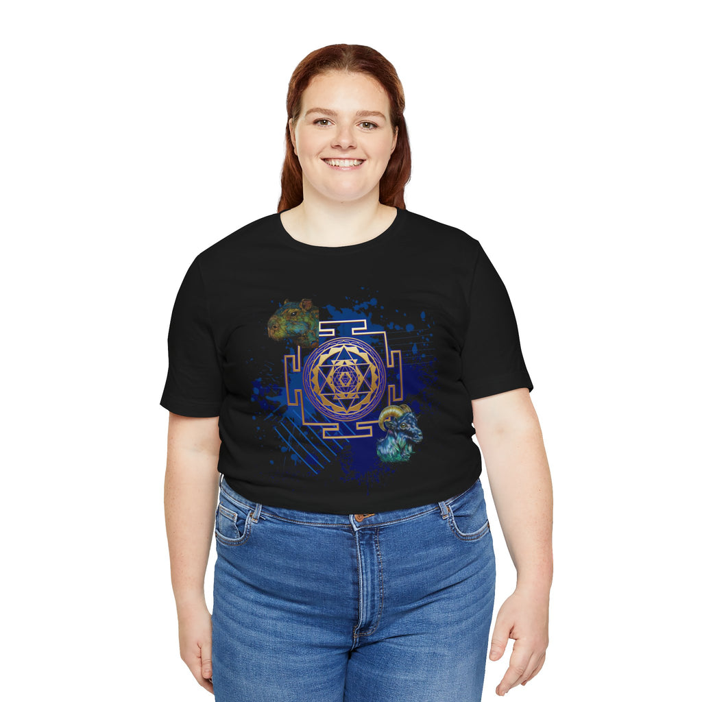 Sacred Geometry Graphic Tee Unisex Bella+Canvas 3001 Shirt Celestial Art T-Shirt: Sri Yantra